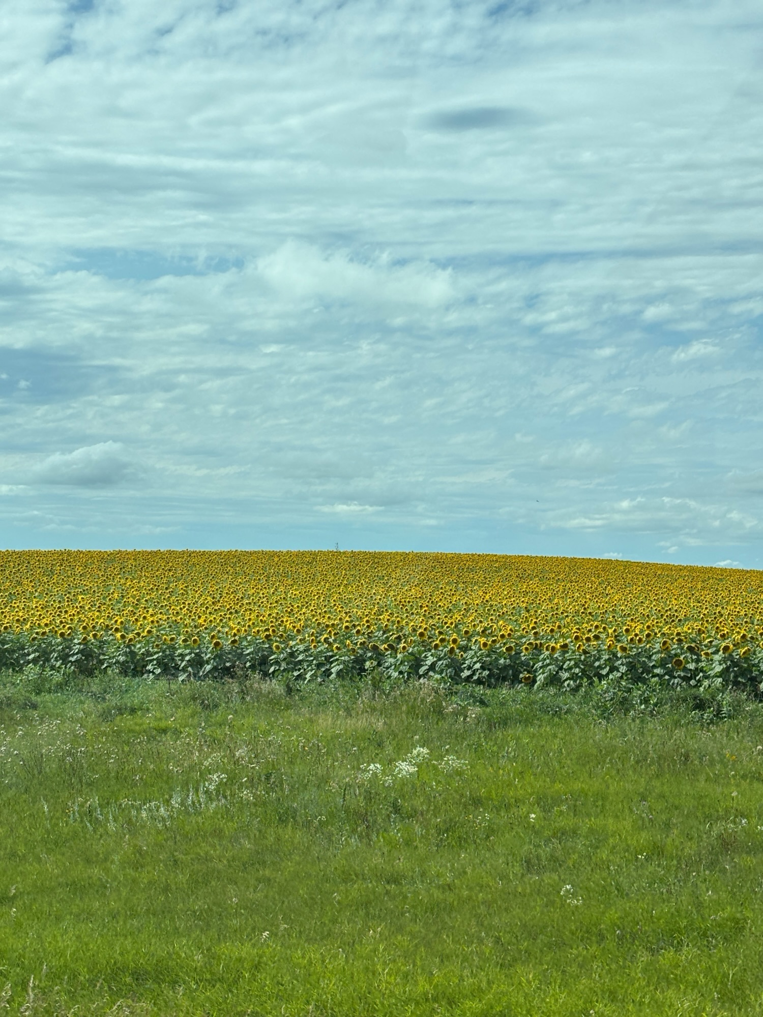 “Back” in North Dakota