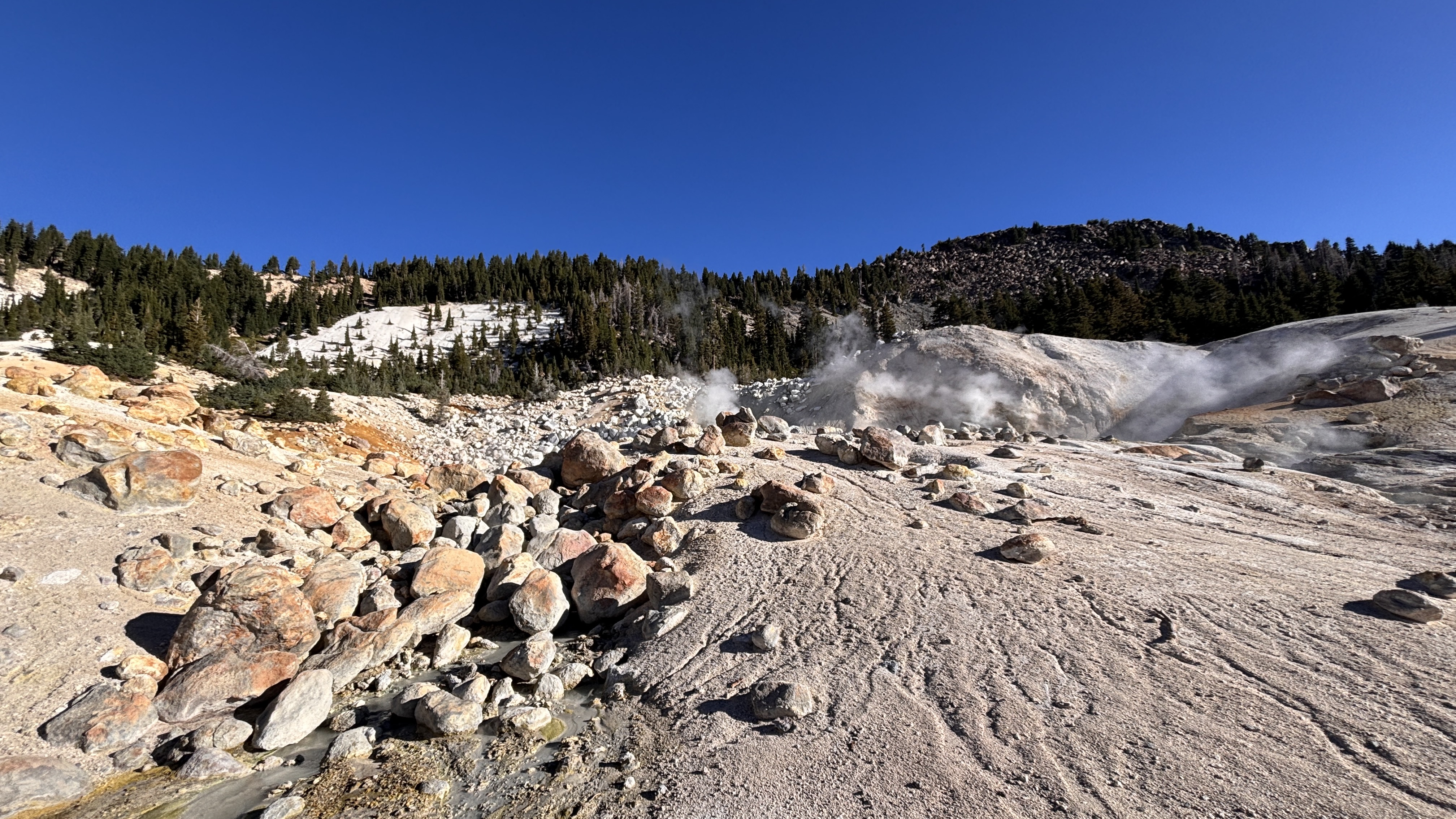 Lassen Stinks